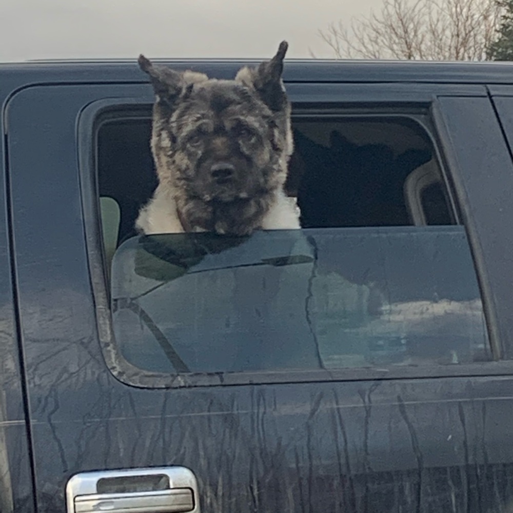 Meet your Posher, Brooke